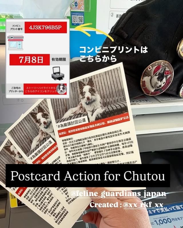 Stolen and Slaughtered: Justice for Chutou