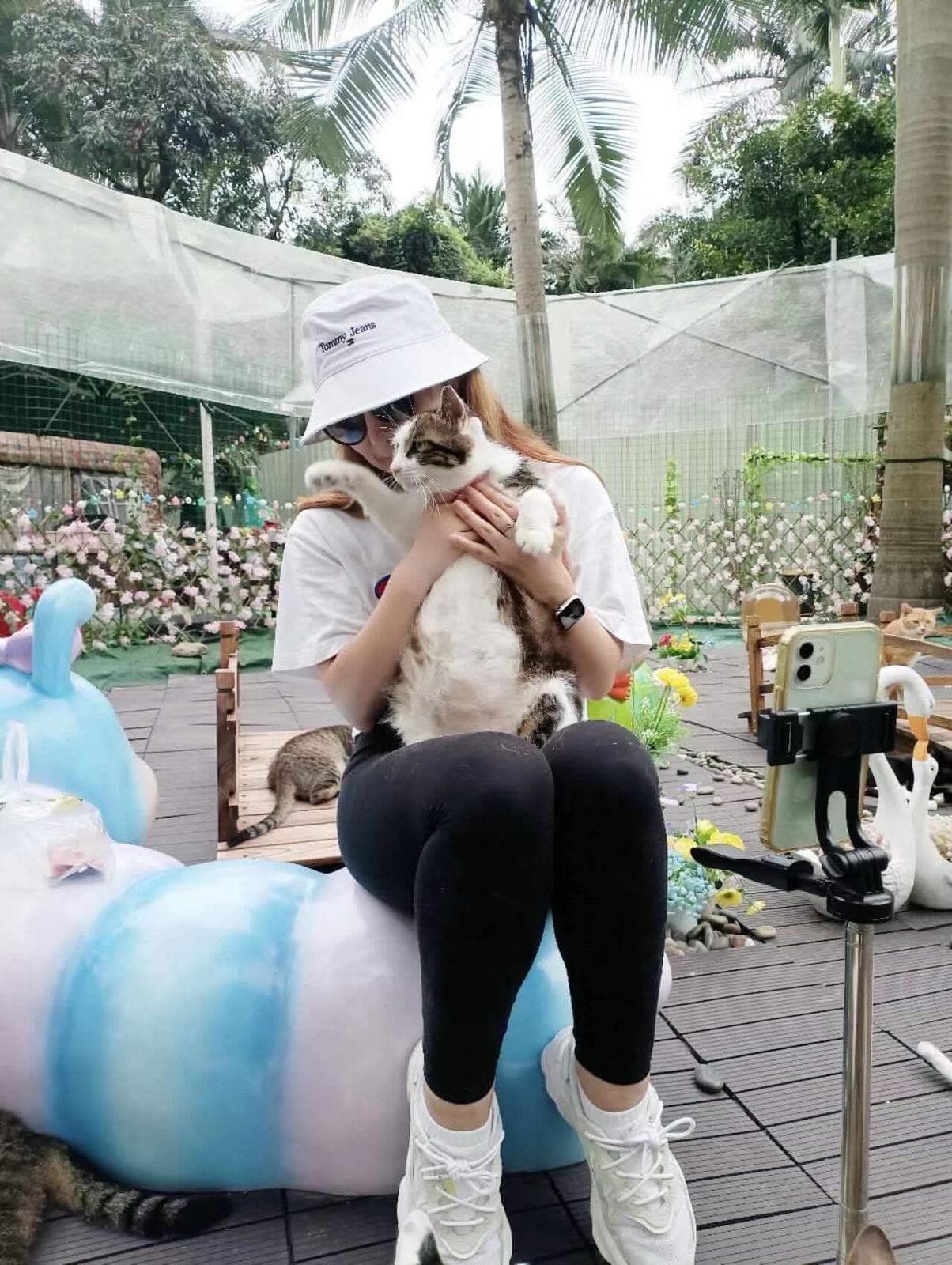 Saving Cats in China