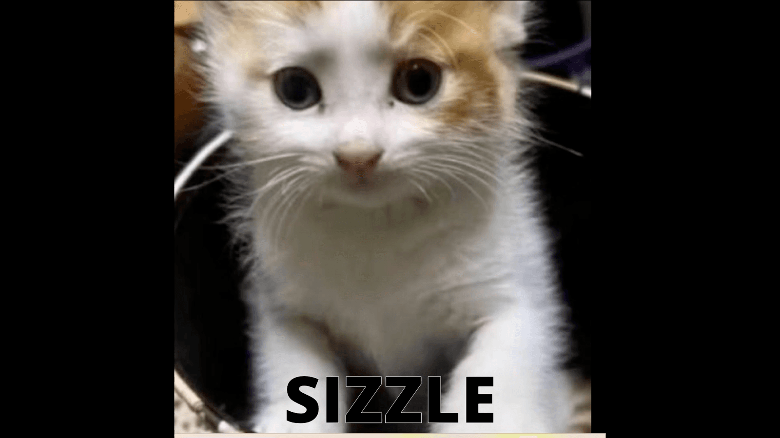 Poster image for the memorial vigil page